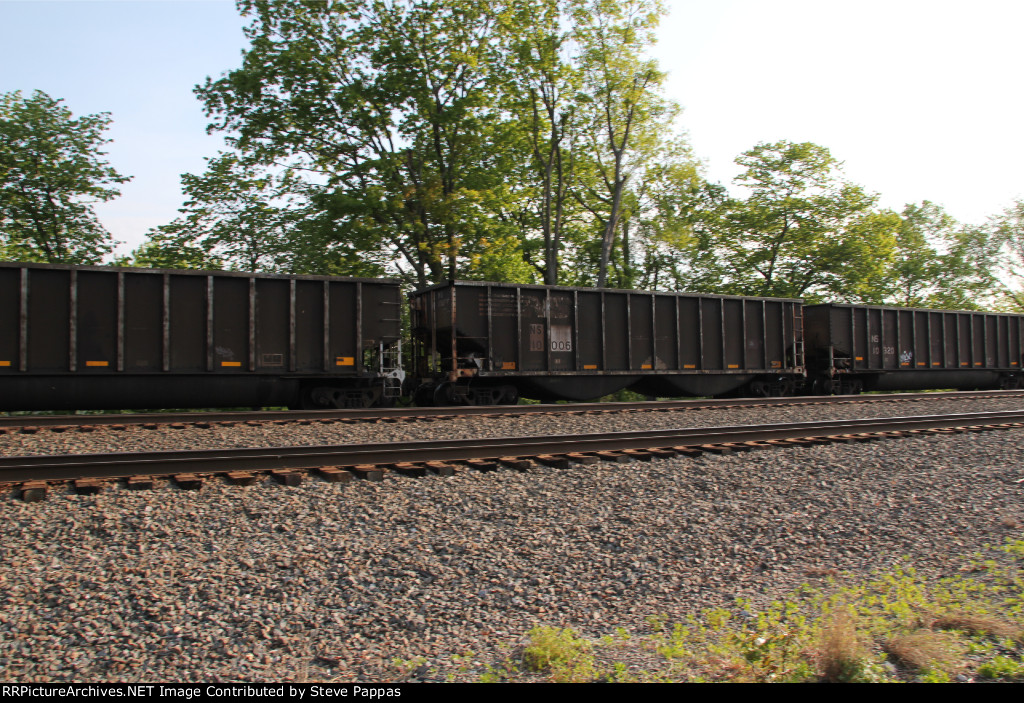 NS 10006